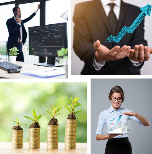 Singletree Accountants Ltd